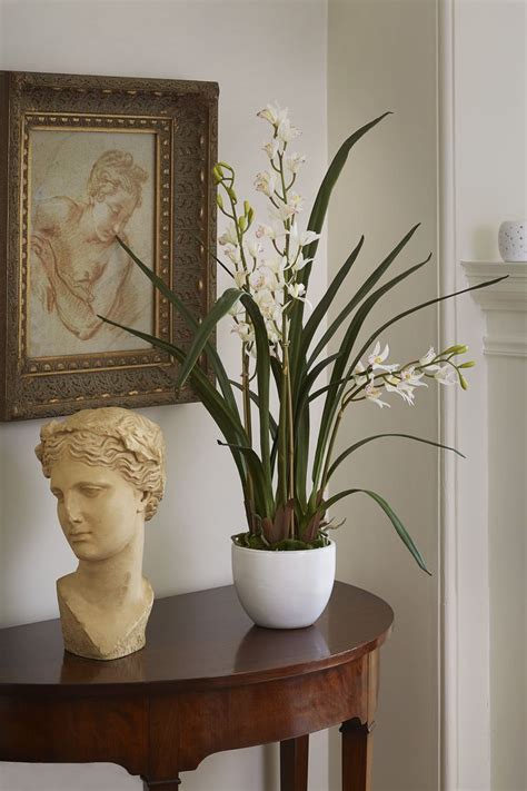 Cymbidium Orchid in White Ceramic Pot | Orchid arrangements, Artificial orchids, Orchids