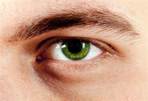 Green Eyes: Learn Why People Who Have Them Are So Unique! | Guy Counseling