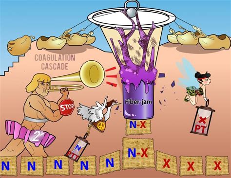 Coagulation Cascade Animation