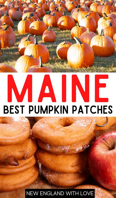 12 Best Pumpkin Patches in Maine | New England With Love