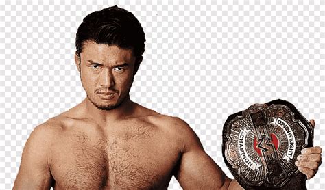 Katsuyori Shibata NUNCA Openweight Championship Novo Japão Lutador ...