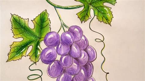 how to draw grape easy /for beginners - YouTube