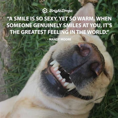 28 Smile Quotes on the Power of Smiling - Bright Drops