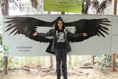 Wing span of a Condor Birds Of Prey, Span, Moose Art, Wings, Animals, Andean Condor, Animales ...