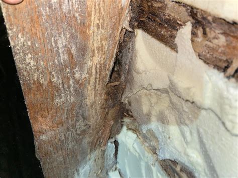 Rotten Timbers, Roof Degradation | Spray Foam Insulation Problems