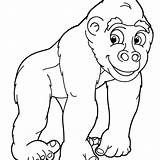 Baby Gorilla Coloring Pages At GetColoringscom  Free Printable sketch template