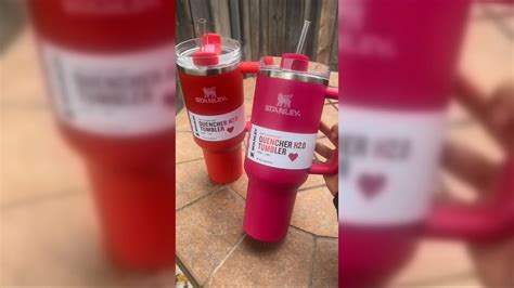 Rose-hued Stanley cups trigger a frenzy among Target shoppers | CNN ...