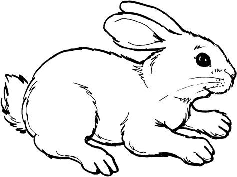 Free Rabbit Line Art, Download Free Rabbit Line Art png images, Free ...