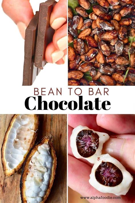 How to make chocolate from cocoa beans; the full 7-step process done at ...