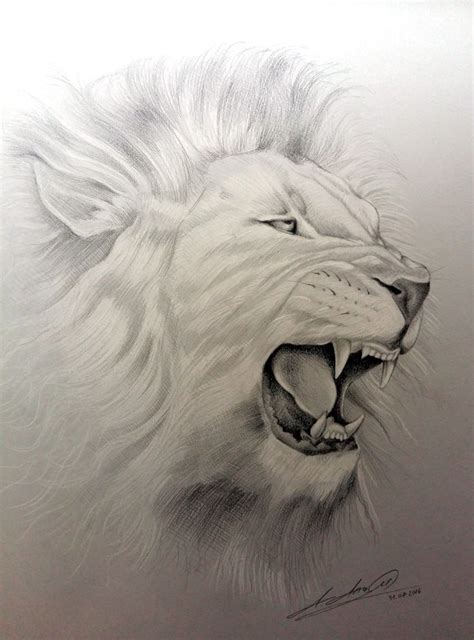 Lion Roar pencil drawing | Animal drawings sketches, Animal drawings ...