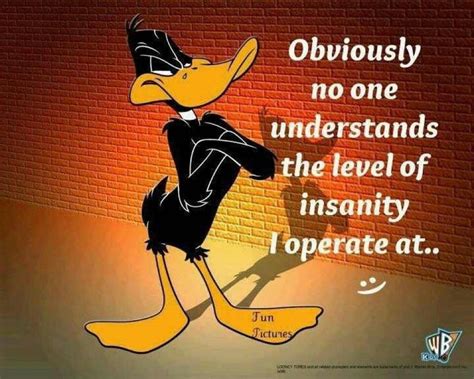 Insanity | Looney tunes funny, Cartoon jokes, Daffy duck