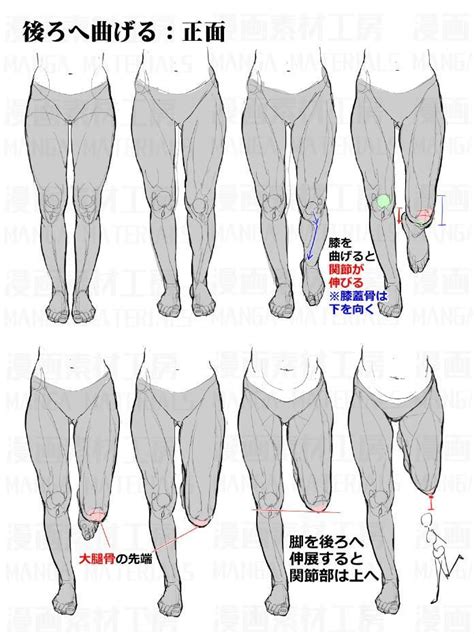 Drawing The Human Figure - Tips For Beginners | Drawing legs, Drawings, Anatomy reference