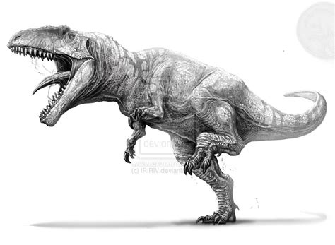 How To Draw A Giganotosaurus | Images and Photos finder