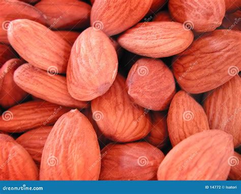 Raw Almonds stock photo. Image of texture, background, flavours - 14772