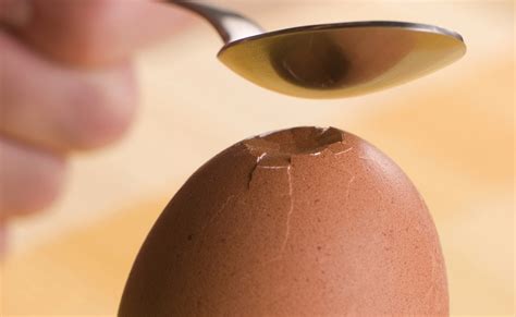 Get Crackin': Ten Things You Need to Know About Eggs | Our Wonderful World Media