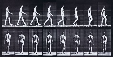 Walking reference:male Figure Drawing Poses, Body Pose Drawing, Drawing ...