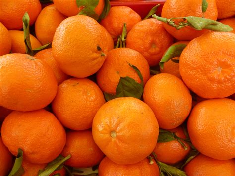 Free Images : fruit, produce, tangerine, calabaza, kumquat, clementine, vegetarian food, citrus ...
