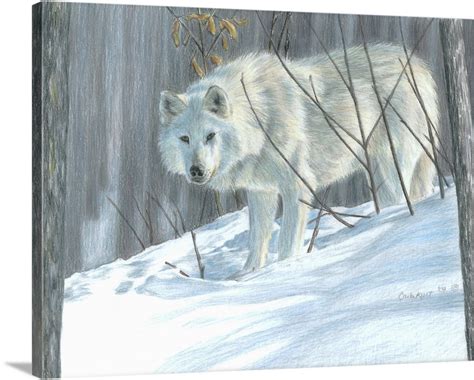 Winter Wolf Wall Art, Canvas Prints, Framed Prints, Wall Peels | Great ...