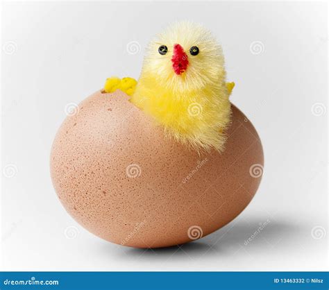 Easter Chicken Hatching Out Of Egg Royalty-Free Stock Image ...