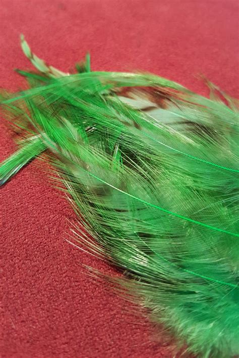 Dyed Chicken Feathers Cruelty Free by FullOFeathers on Etsy