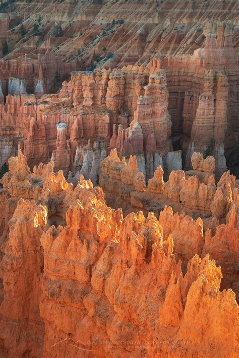 Sunrise Point Bryce Canyon National Park - Alan Majchrowicz Photography