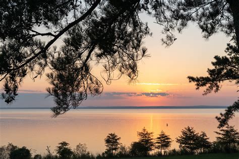 17 Best Things to Do in Ridgeland, MS