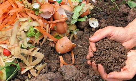 7 Langkah Mengompos Sisa Makanan, Kurangi Food Waste