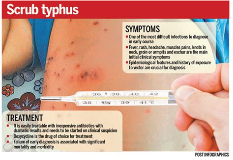 Scrub typhus spreads after earthquake