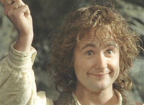 Peregrin Took - fool of a Took! | The hobbit, The hobbit movies, Lord ...