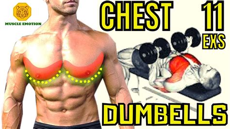 11 BEST LOWER CHEST EXERCISES WITH DUMBELLS / MUSCULATION HAUT DE PECS AVEC HALTERES - YouTube