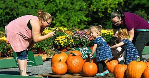 Fall bucket list for Upstate NY: 21 fun things you must do before ...