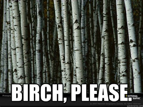 Birch, please. - birch tree meme - quickmeme