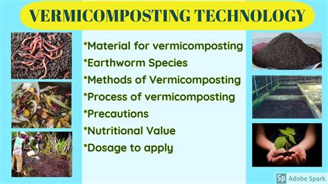 Vermicomposting Technology/ How to prepare vermicompost - YouTube