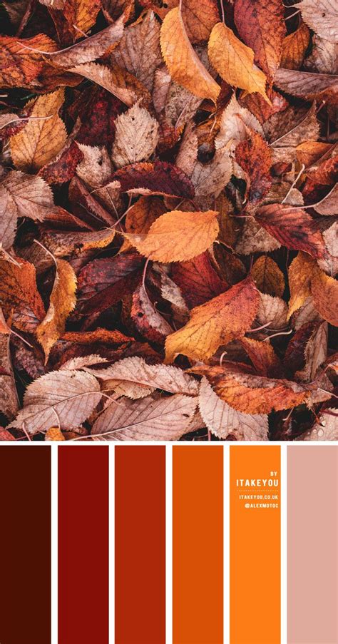 Rust Color Scheme – Color Palette #35 | Rust color schemes, Orange ...