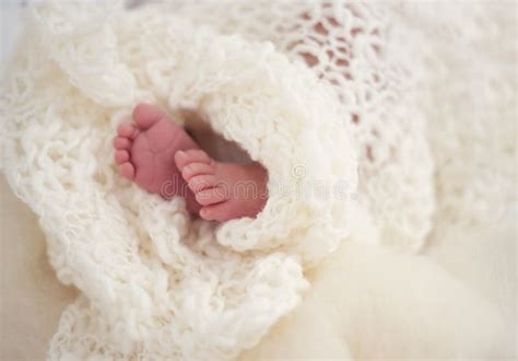 Newborn Baby Feet stock photo. Image of blogging, lifestyle - 157346188