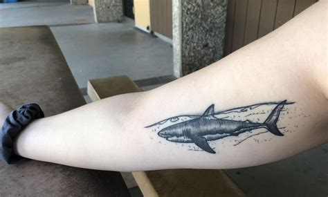 Healed Shark tattoo done by Zachary Bailey @ New Rose Tattoo in Portland Oregon Artsy Tattoos ...