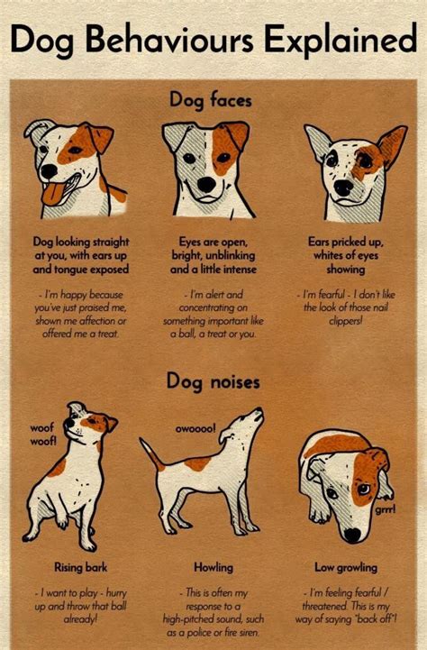 Pin on Animals and pets | Dogs, Dog body language, Dog noises