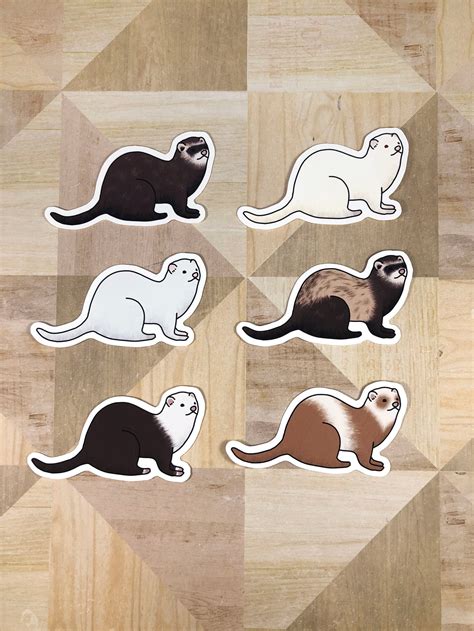 6 pcs Ferret Stickers Ferret Decor Ferret Gift Ferret Art | Etsy