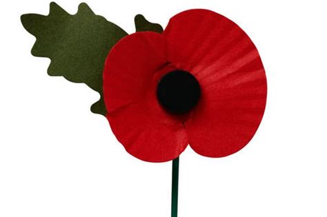 Why the poppy is a symbol that should unite, not divide, us | Inside Croydon