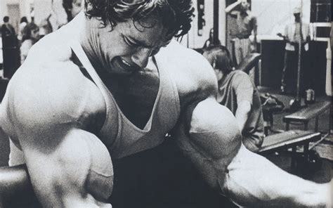 Bodybuilder Arnold Schwarzenegger Wallpapers in jpg format for free ...