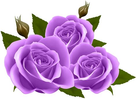 clip art purple rose 20 free Cliparts | Download images on Clipground 2024