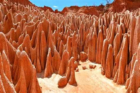 Red Tsingy â€“ Tsingy Rouge - Near Diego Suarez, Madagascar Stock Photo - Image of malagasy ...