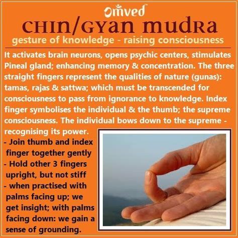 chin/gyan mudra | Mudras, Gyan mudra, Chin mudra