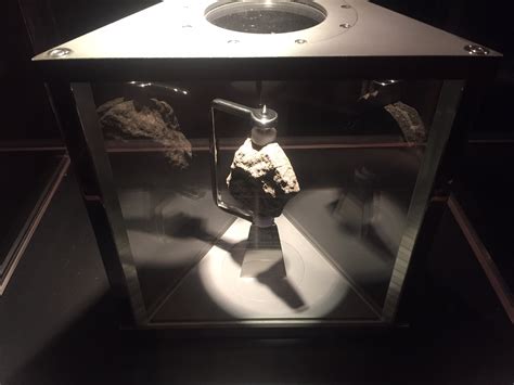 5 Of The Rarest Objects On Display At HMNS | BEYONDbones