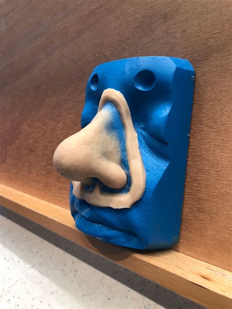 Large Prosthetic Nose | Etsy