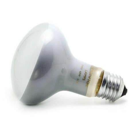 5 X R80 Bulbs (spot Light) 60 Watt Edison Screw E27 Cap Diffused 220 - 240 Volt for sale online ...