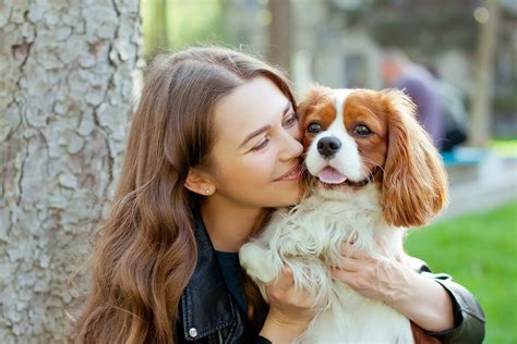 Keeping and caring for pets in the UK | Expatica