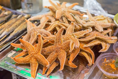 Can You Eat Starfish? - Fishmasters.com