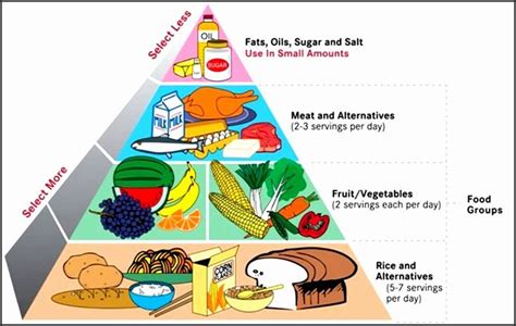 20 Pie Chart for Balanced Diet | Balanced diet chart, Vitamins for kids ...