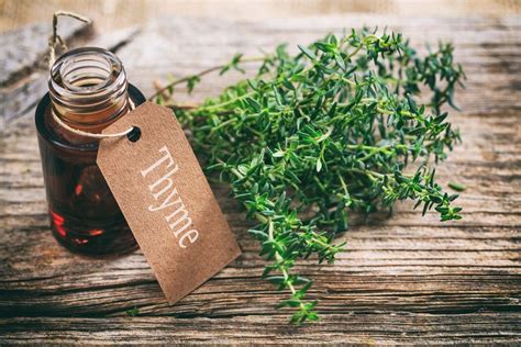 Thyme Essential Oil: Spectacular Benefits For Boosting Well-Being